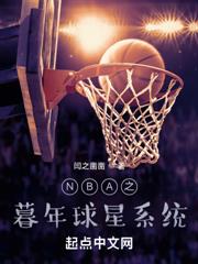 NBA之暮年球星系統