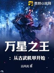 萬星之王：從古武機甲開始