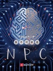 我不可能是NPC