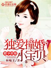 婚孕似錦：獨愛撞婚小寶貝