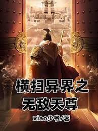 橫掃異界之無敵天尊