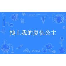 拽上我的復仇公主