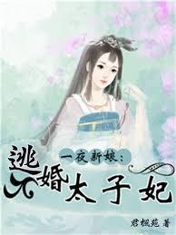 一夜新娘：逃婚太子妃