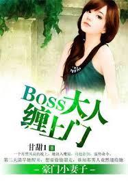 豪門小妻子：BOSS大人纏上門