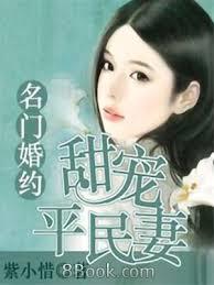 名門婚約：甜寵平民妻