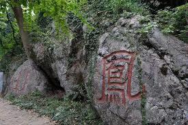 宋室芳華：鳳主江山