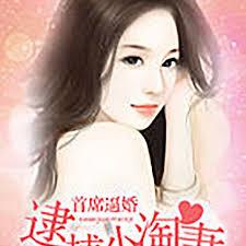 首席逼婚：逮捕小淘妻