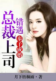 奉子成婚，錯遇總裁上司