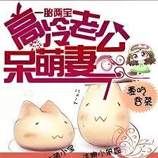 一胎兩寶：高冷老公呆萌妻