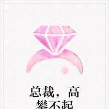 總裁，高攀不起