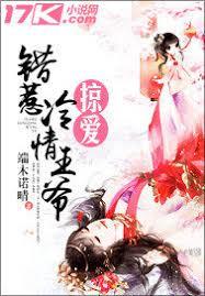 掠愛：錯惹冷情王爺