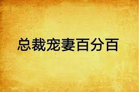 總裁寵妻百分百