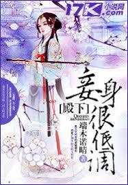 殿下，妾身很低調！