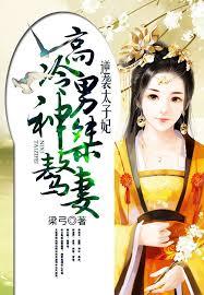 逆襲太子妃：高冷男神桀驁妻
