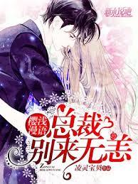 寵妻成癮：億萬前妻買一送二