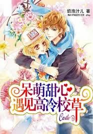 呆萌甜心：遇見高冷校草
