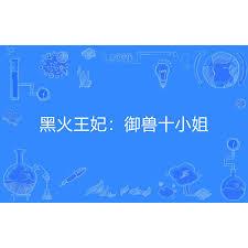 黑火王妃：御獸十小姐