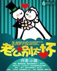 先婚厚愛：老公別太壞