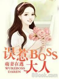 萌妻在逃：誤惹BOSS大人