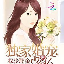 獨家婚寵：權少聘金10個億