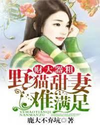 財大氣粗：總裁老公你低調點