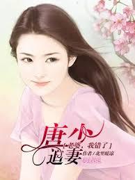 獨家占有：權少的億萬寶貝