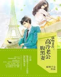 閃婚甜妻：高冷老公腹黑妻