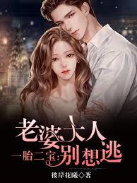 顧少強勢來襲：萌妻太搶手