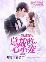 一見侵心：老公大人不好追