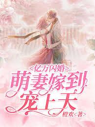 寵你成癮：首席的天價寶貝