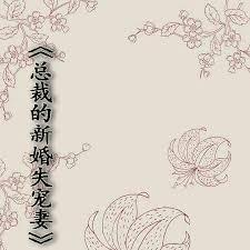 總裁的新婚失寵妻
