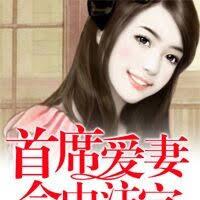 首席愛妻命中注定