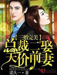 三婚完美，總裁二娶天價前妻