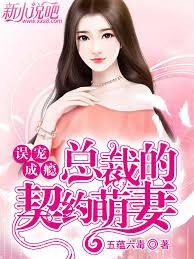 總統大人就擒吧：倒追男神五百次