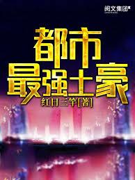 都市最強土豪