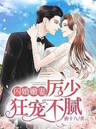 厲少撩妻：限制級婚寵