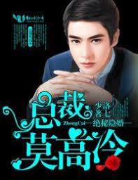 絕秘隱婚，總裁莫高冷