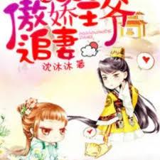 拒嫁王妃：傲嬌王爺追妻