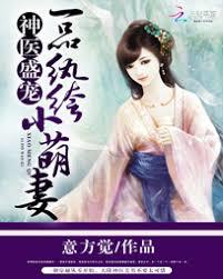 神醫盛寵：一品紈絝小萌妻