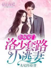 豪門盛宴：拒嫁高冷大少