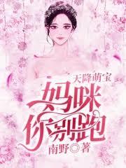 天降腹黑老公：萌妻你別跑