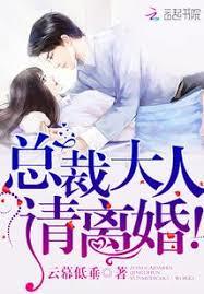 總裁大人，請離婚！