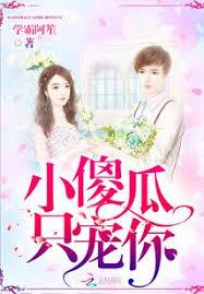 小傻瓜只寵你