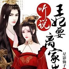 聽說王妃要離家出走